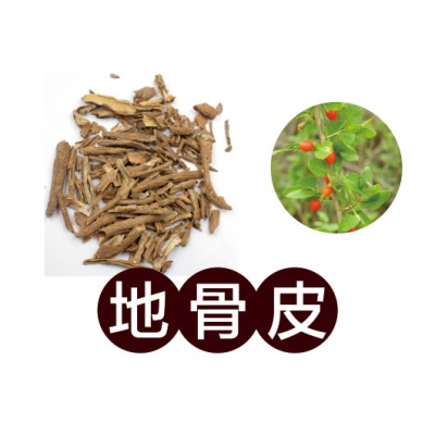 地骨皮（Dì Gǔ Pí）