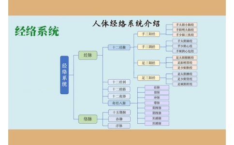 經(jīng)絡(luò)系統(tǒng)