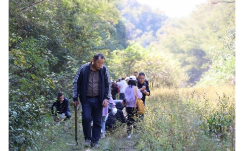 踏秋尋寶，聞香識(shí)藥！首屆神農(nóng)杯野外識(shí)藥大賽在株洲鳳凰山景區(qū)成功舉辦！