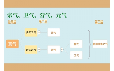 中醫(yī)里的“宗氣”、“衛(wèi)氣”、“營氣”、“元氣”
